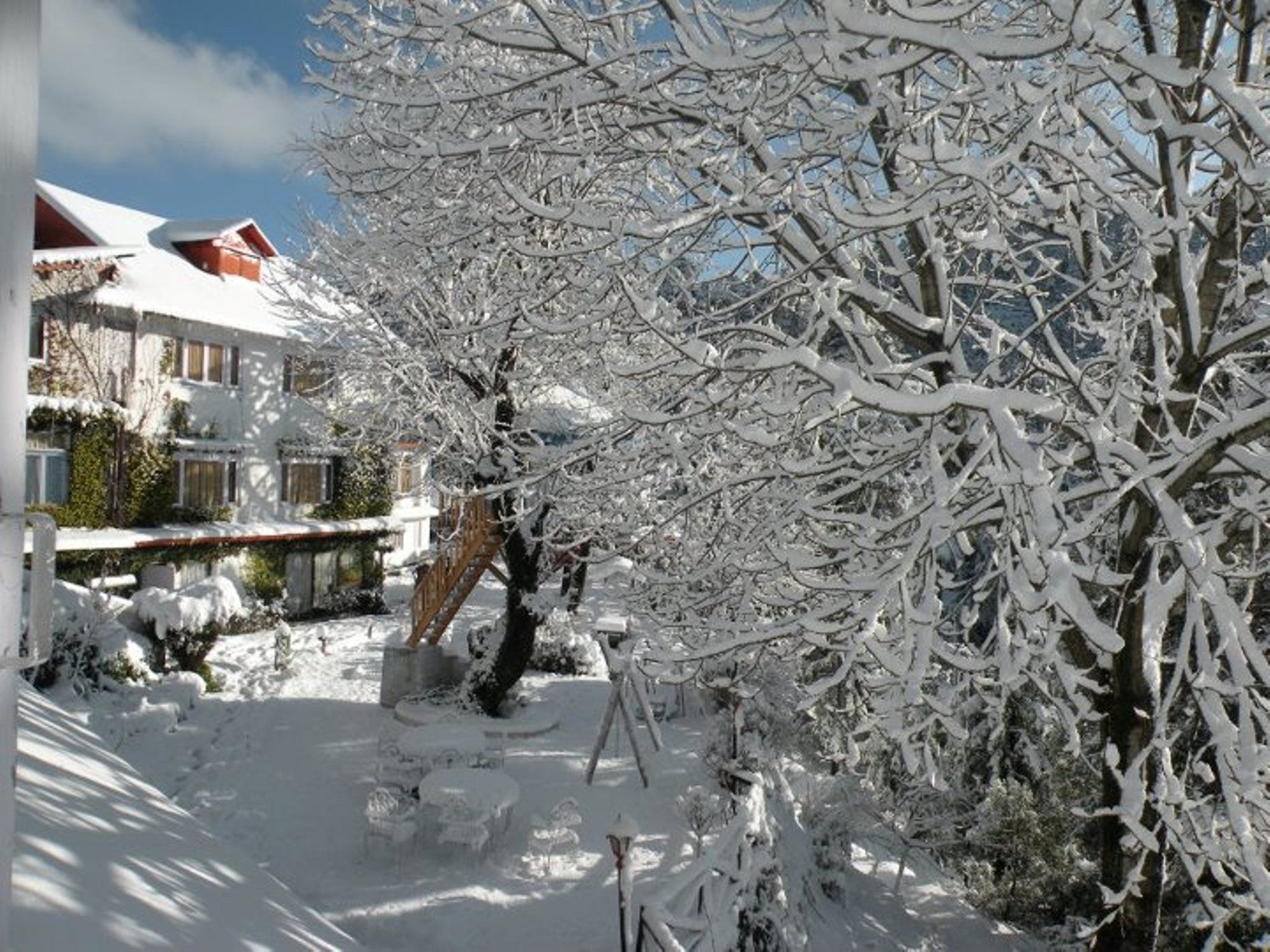 Alps Resort Dalhousie Eksteriør billede